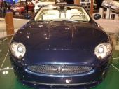 Jaguar.JPG